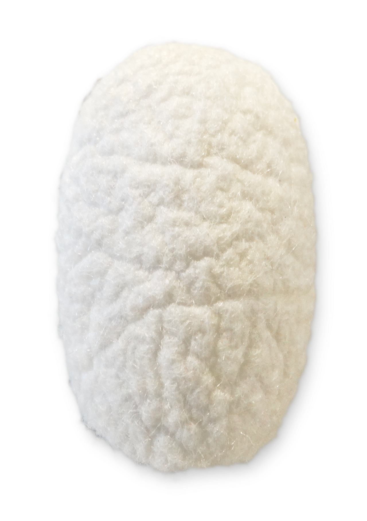 bozzolo viso di seta